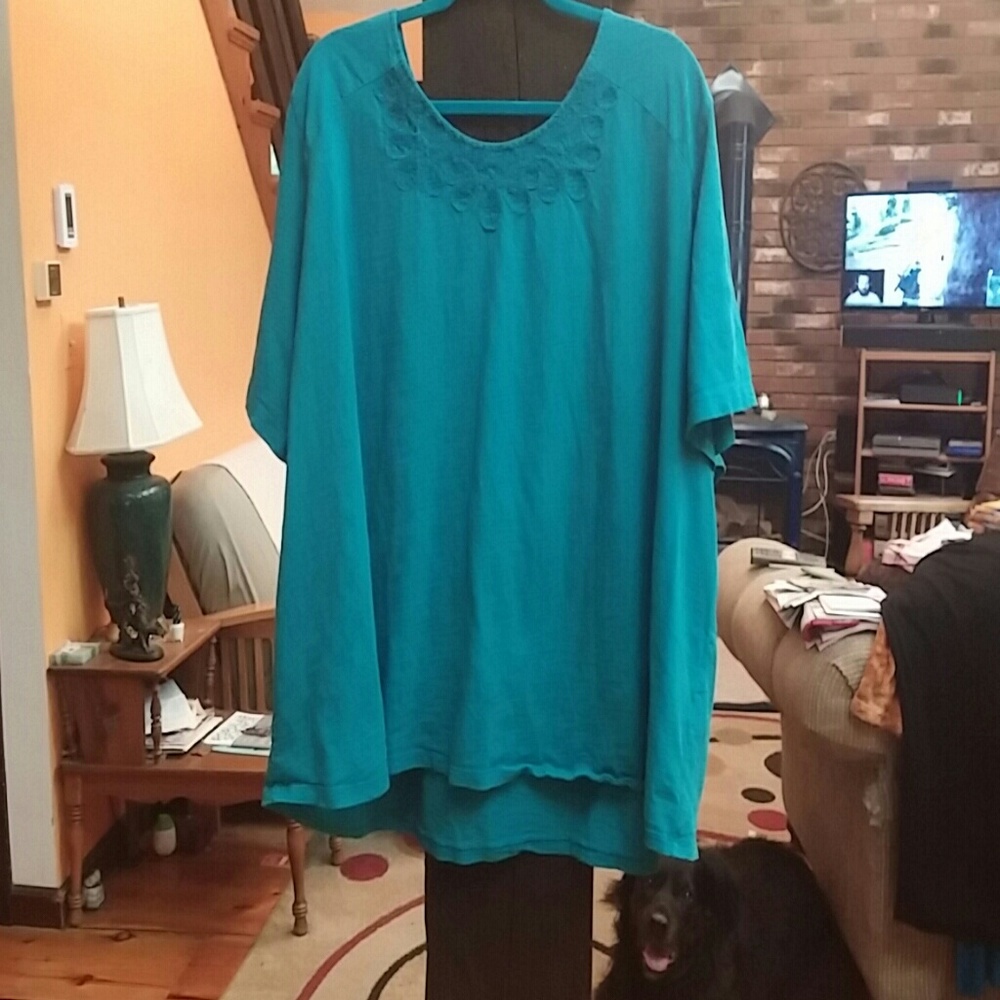 Lace detailed t-shirt. Minus the dog :)